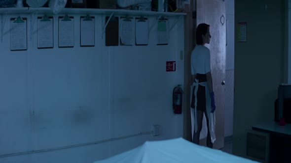 Náhled Neon Demon 2016 (720p) / CZ.Titulky.mkv (9)