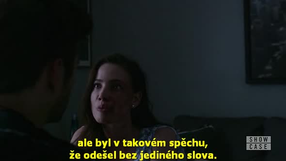 Náhled Mr. Robot.S02E12.CZ titulky.HDTV.avi (7)