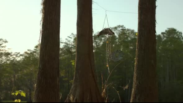 Náhled Jessabelle-(2014)-CZ-dabing.avi (7)