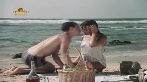Náhled Zmrzlina na klacku - Cucaci na vojne - Lemon Popsicle 4. CZ.1983..avi (8)
