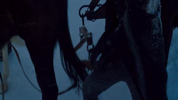 Náhled 8 hroznych (BDRip) (CZ dabing) (CZ forced).avi (3)