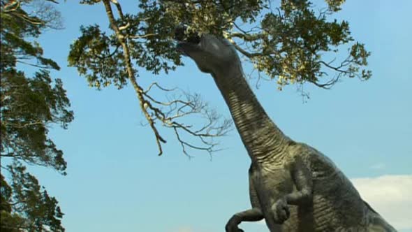 Náhled Tarbosaurus - Nejmocnejsi z dinosauru.avi (1)