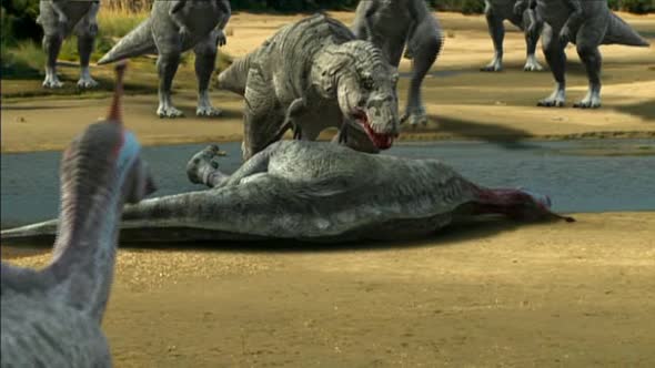 Náhled Tarbosaurus - Nejmocnejsi z dinosauru.avi (2)