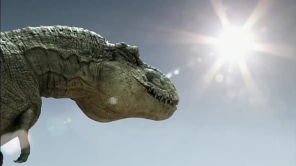 Náhled Tarbosaurus - Nejmocnejsi z dinosauru.avi (5)