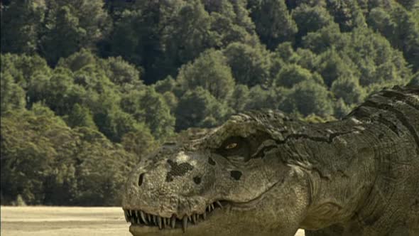 Náhled Tarbosaurus - Nejmocnejsi z dinosauru.avi (6)