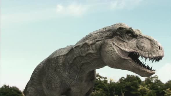 Náhled Tarbosaurus - Nejmocnejsi z dinosauru.avi (7)