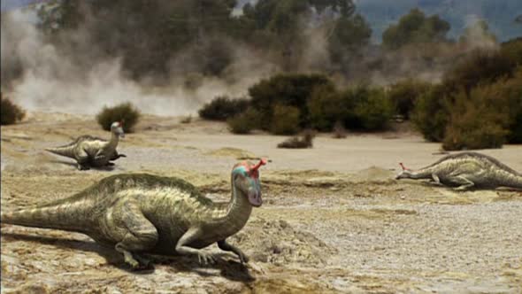 Náhled Tarbosaurus - Nejmocnejsi z dinosauru.avi (8)