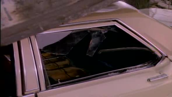 Náhled MacGyver.S01E02.DVDRip.XviD.CZ.avi (1)
