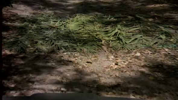 Náhled MacGyver.S01E02.DVDRip.XviD.CZ.avi (10)