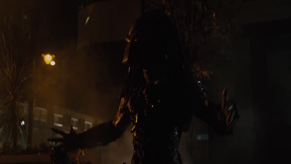 Náhled alien Vetřelec vs Predátor 2-2007.HD.BluRay.CZ.dabing.720p.mkv (5)