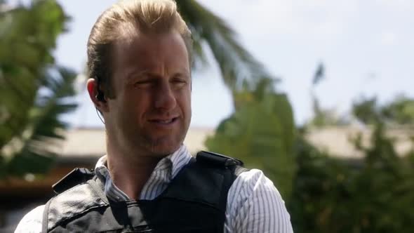Náhled Hawaii 5-0 S05E21 - WEB-DL CZdabing.mkv (9)