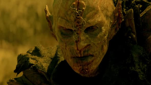 Náhled Letopisy rodu Shannara S01E02 CZ.avi (1)