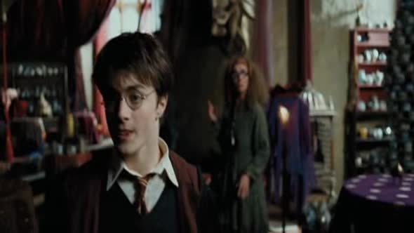 Náhled 3.Harry-Potter-A-Vezen-Z-Azkabanu.avi (7)