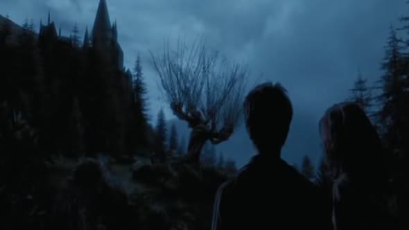 Náhled 3.Harry-Potter-A-Vezen-Z-Azkabanu.avi (10)