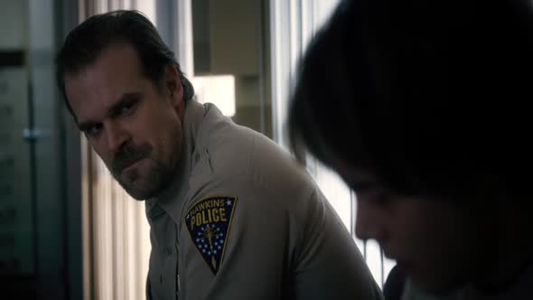 Náhled Stranger.Things.S01E04.mkv (3)