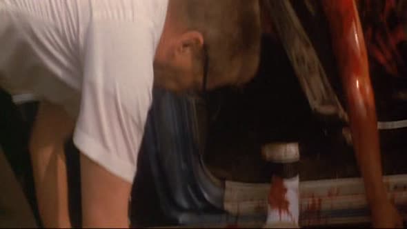 Náhled volny-pad-cz-drama-thriller-usa-francie-1993.avi (3)