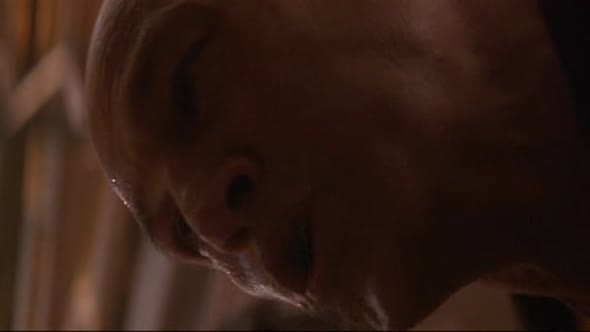 Náhled volny-pad-cz-drama-thriller-usa-francie-1993.avi (7)