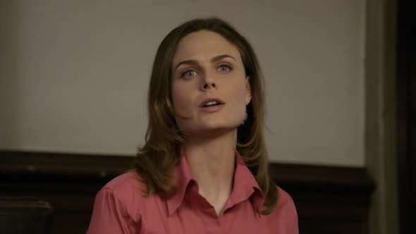 Náhled Sběratelé kostí - Bones S05E21 DVDrip CZDAB.avi (1)