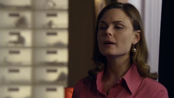 Náhled Sběratelé kostí - Bones S05E21 DVDrip CZDAB.avi (2)