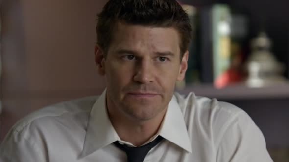 Náhled Sběratelé kostí - Bones S05E21 DVDrip CZDAB.avi (3)