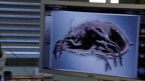 Náhled Sběratelé kostí - Bones S05E21 DVDrip CZDAB.avi (9)