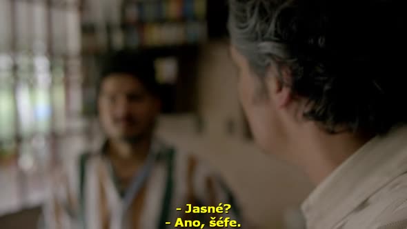 Náhled Narcos.S02E08.CZ titulky.WEB-DL.avi (8)