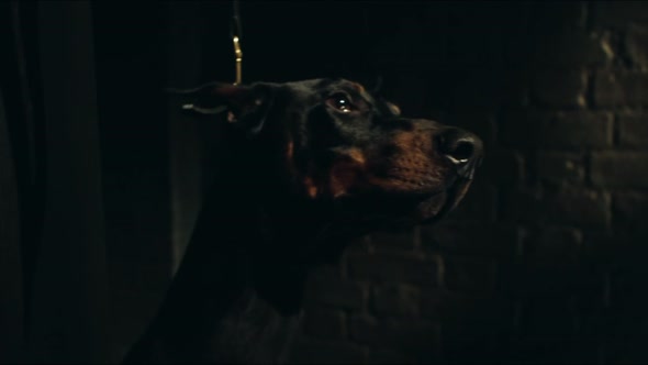 Náhled Peaky Blinders S03E02 - BRrip HD720p CZtitulky.mkv (9)