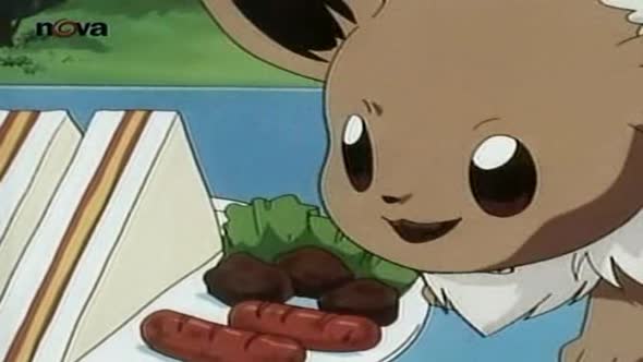Náhled pokemon 37 dil cz dabing (5)