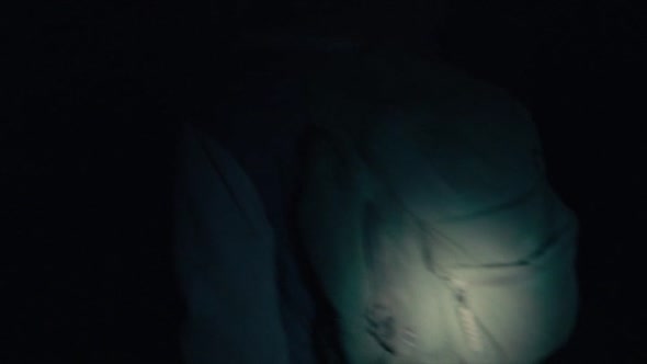 Náhled Šílenství Debory Logan - The Taking of Deborah Logan - 2014 BRrip CZdabing.avi (10)
