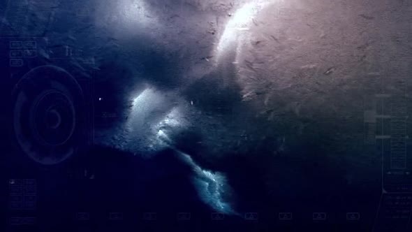 Náhled Europa Report 2013 Cz dab..avi (5)