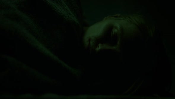 Náhled Kvinden.i.buret.2013.BDRip.XviD.CZ.avi (5)