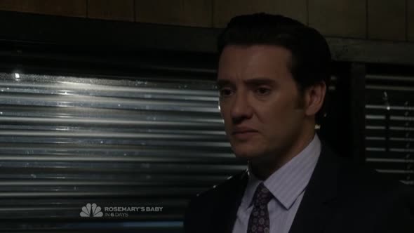 Náhled The.Blacklist.S01E21.HDTV.x264-LOL.mp4 (6)