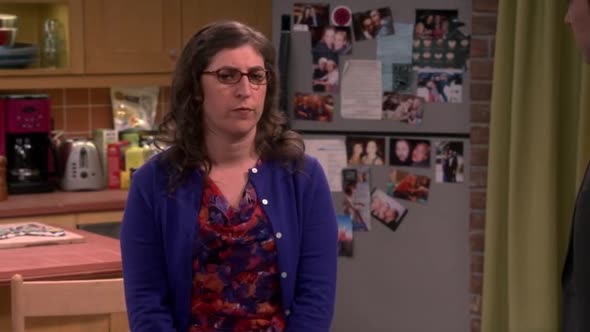 Náhled Teorie Velkeho Tresku s09e17.avi (5)