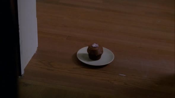 Náhled American Horror Story S01E02 - Vetrelci v dome - DVDRip.CZdab.avi (7)