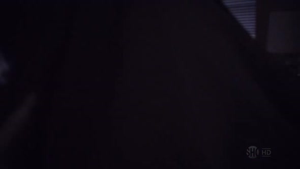 Náhled Californication s03e02 Kraj prznění a strdí (The Land of Rape and Honey).avi (10)