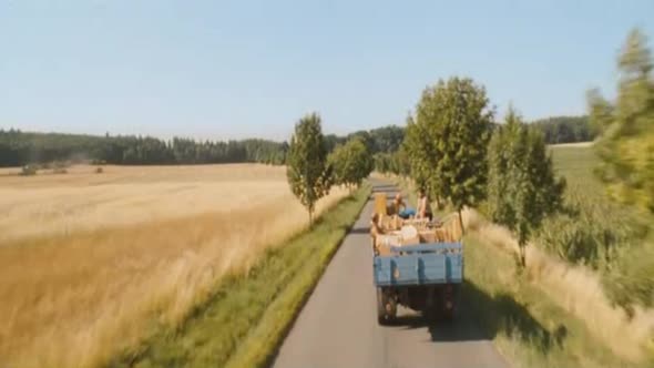 Náhled Polednice (2016) CZ Film.avi (1)