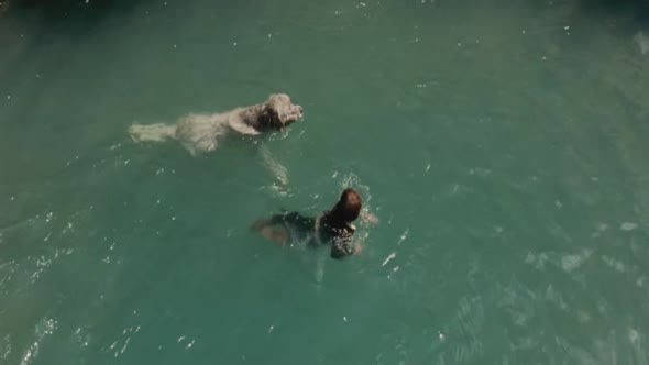 Náhled Bella a Sebastián.avi (4)