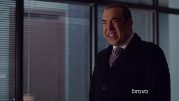 Náhled Suits.S05E15.HDTV.x264-Nicole.mp4 (8)
