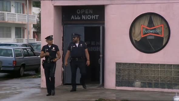 Náhled Superpolicajti z Miami.avi (9)