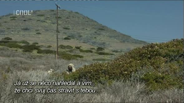 Náhled Poslední chlap na zemi S02E03 - Last man on Earth - TVrip CZdabing.avi (1)