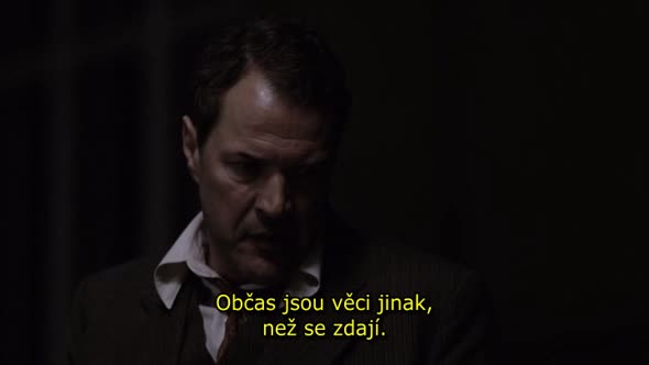 Náhled Ve Stinu .2012 CZ Film DVDRip.avi (7)