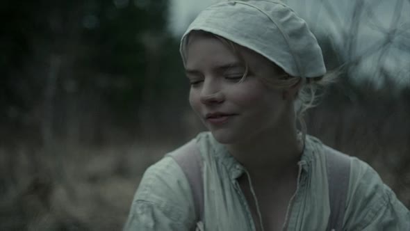 Náhled Čarodějnice.The Witch.2015.CZ dabing.BRRip.XviD.AC3.x264.mkv (3)