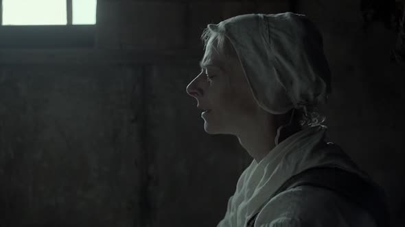 Náhled Čarodějnice.The Witch.2015.CZ dabing.BRRip.XviD.AC3.x264.mkv (7)