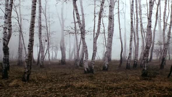 Náhled Slavnosti sněženek (1983).avi (1)