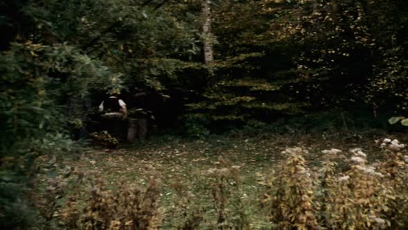 Náhled Slavnosti sněženek (1983).avi (8)