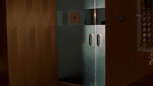 Náhled Sberatele kosti - Bones S01E11 Zena v aute (CZ).avi (8)