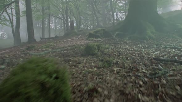 Náhled Highlander 1080p_CZ-EN_dab.mkv (5)