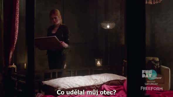 Náhled Shadowhunters.S01E06.cz.tit..avi (10)