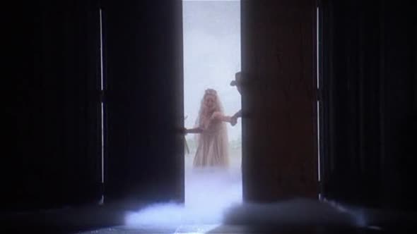 Náhled Vlasy.DVDRip.XviD.CZ.avi (5)