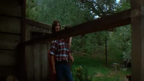 Náhled Pátek třináctého 3 (Friday the 13th Part III - 1982) cz dabing, horor.avi (3)